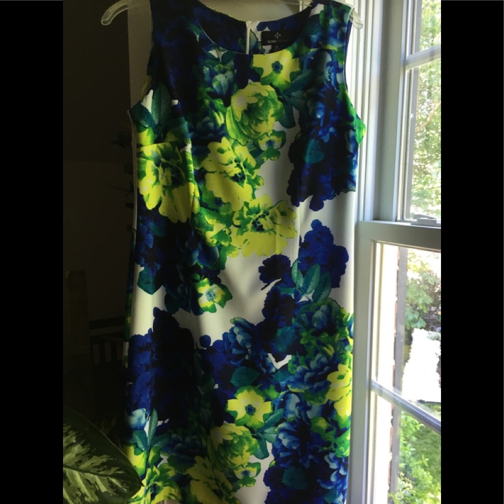 Ronni Nicole Dress
